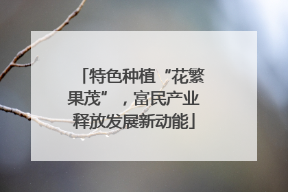特色种植“花繁果茂”，富民产业释放发展新动能
