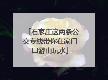 石家庄这两条公交专线带你在家门口游山玩水