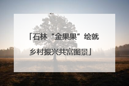 石林“金果果”绘就乡村振兴共富图景