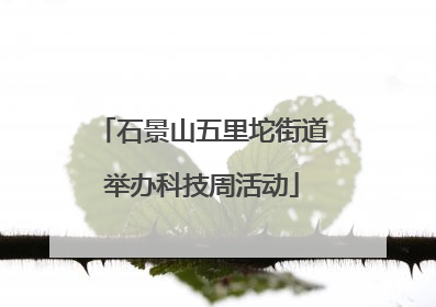 石景山五里坨街道举办科技周活动