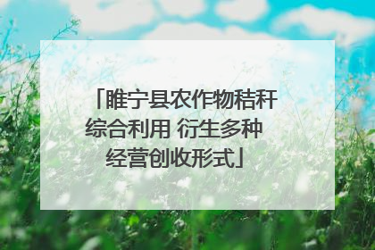 睢宁县农作物秸秆综合利用 衍生多种经营创收形式