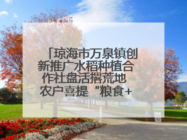 琼海市万泉镇创新推广水稻种植合作社盘活撂荒地 农户喜提“粮食+钞票”分红