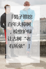 男子擅挖百年大樟树，检察护绿让古树“老有所依”