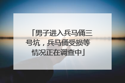 男子进入兵马俑三号坑，兵马俑受损等情况正在调查中