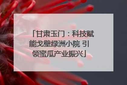 甘肃玉门：科技赋能戈壁绿洲小院 引领蜜瓜产业振兴