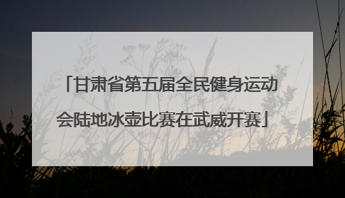 甘肃省第五届全民健身运动会陆地冰壶比赛在武威开赛