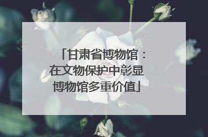 甘肃省博物馆：在文物保护中彰显博物馆多重价值