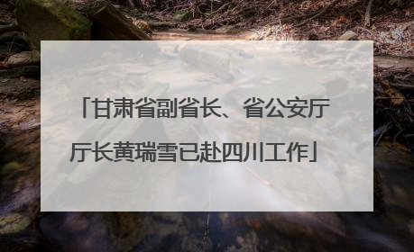 甘肃省副省长、省公安厅厅长黄瑞雪已赴四川工作