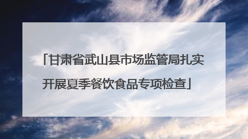 甘肃省武山县市场监管局扎实开展夏季餐饮食品专项检查