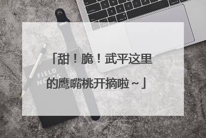 甜！脆！武平这里的鹰嘴桃开摘啦～