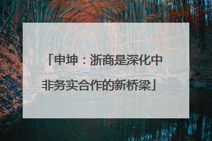 申坤：浙商是深化中非务实合作的新桥梁