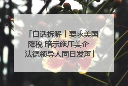 白话拆解丨要求美国降税 暗示施压美企 法德领导人同日发声