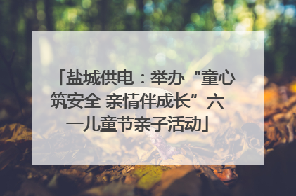 盐城供电：举办“童心筑安全 亲情伴成长”六一儿童节亲子活动