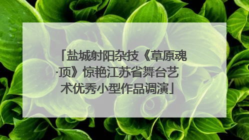 盐城射阳杂技《草原魂·顶》惊艳江苏省舞台艺术优秀小型作品调演