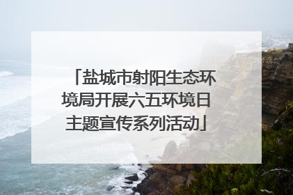 盐城市射阳生态环境局开展六五环境日主题宣传系列活动