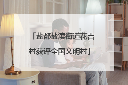 盐都盐渎街道花吉村获评全国文明村
