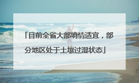 目前全省大部墒情适宜，部分地区处于土壤过湿状态