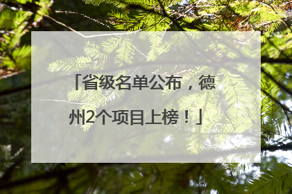 省级名单公布，德州2个项目上榜！