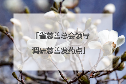 省慈善总会领导调研慈善发药点