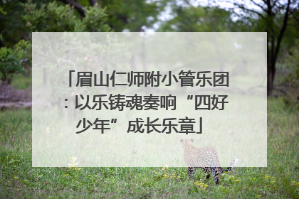 眉山仁师附小管乐团：以乐铸魂奏响“四好少年”成长乐章