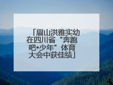 眉山洪雅实幼在四川省“奔跑吧•少年”体育大会中获佳绩