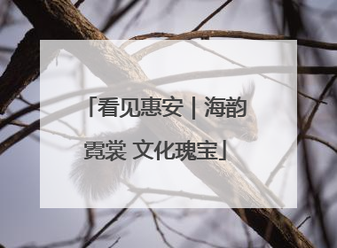 看见惠安｜海韵霓裳 文化瑰宝
