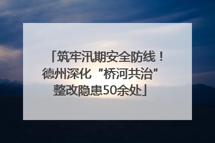 筑牢汛期安全防线！德州深化“桥河共治”整改隐患50余处