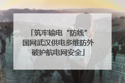 筑牢输电“防线” 国网武汉供电多维防外破护航电网安全