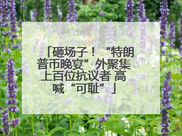 砸场子！“特朗普币晚宴”外聚集上百位抗议者 高喊“可耻”