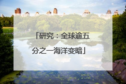 研究：全球逾五分之一海洋变暗