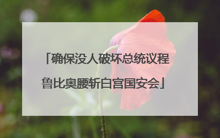 确保没人破坏总统议程 鲁比奥腰斩白宫国安会