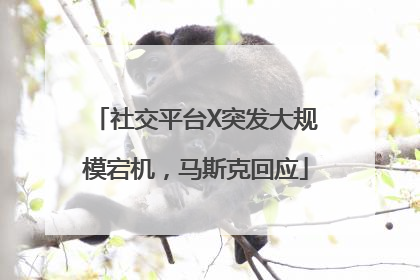 社交平台X突发大规模宕机，马斯克回应