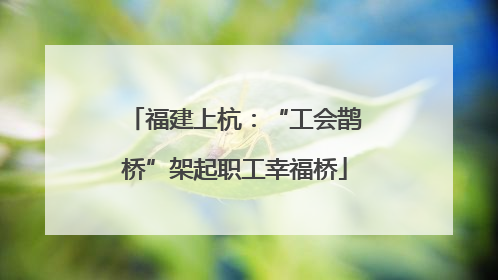 福建上杭：“工会鹊桥”架起职工幸福桥