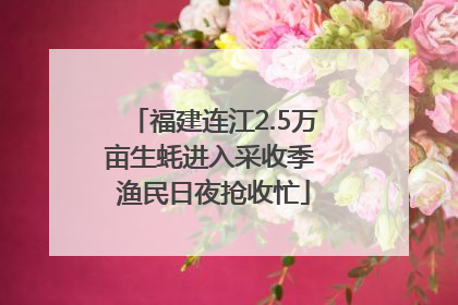 福建连江2.5万亩生蚝进入采收季 渔民日夜抢收忙