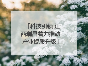 科技引领 江西瑞昌着力推动产业提质升级
