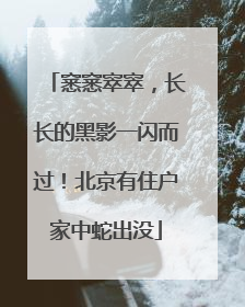 窸窸窣窣，长长的黑影一闪而过！北京有住户家中蛇出没