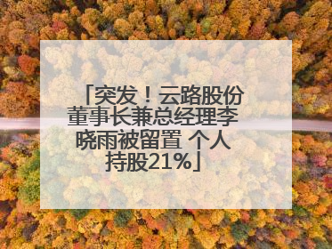 突发！云路股份董事长兼总经理李晓雨被留置 个人持股21%