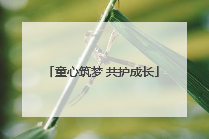 童心筑梦 共护成长
