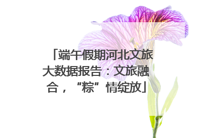 端午假期河北文旅大数据报告：文旅融合，“粽”情绽放