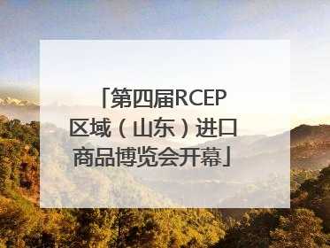 第四届RCEP区域（山东）进口商品博览会开幕