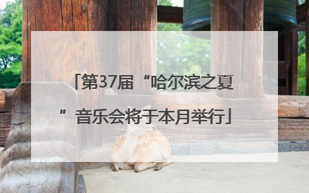 第37届“哈尔滨之夏”音乐会将于本月举行