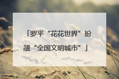 罗平“花花世界”扮靓“全国文明城市”