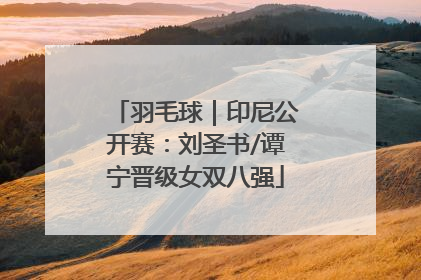 羽毛球｜印尼公开赛：刘圣书/谭宁晋级女双八强