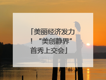 美丽经济发力！“美创静界”首秀上交会
