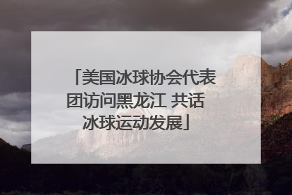 美国冰球协会代表团访问黑龙江 共话冰球运动发展