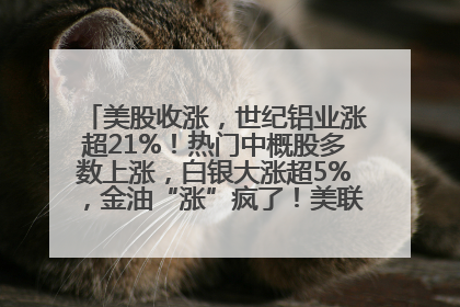 美股收涨，世纪铝业涨超21%！热门中概股多数上涨，白银大涨超5%，金油“涨”疯了！美联储官员最新表态
