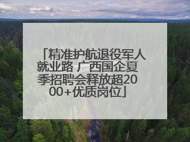 精准护航退役军人就业路 广西国企夏季招聘会释放超2000+优质岗位
