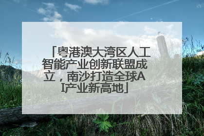 粤港澳大湾区人工智能产业创新联盟成立，南沙打造全球AI产业新高地