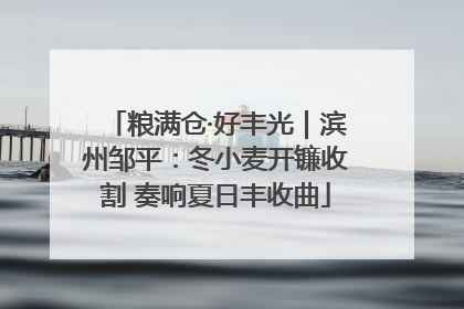 粮满仓·好丰光｜滨州邹平：冬小麦开镰收割 奏响夏日丰收曲