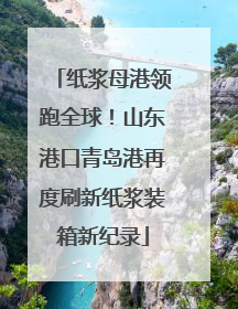 纸浆母港领跑全球！山东港口青岛港再度刷新纸浆装箱新纪录